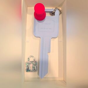 NIB CJ Hendry Lost And Found Exhibit Mystery Key Pink And Blue